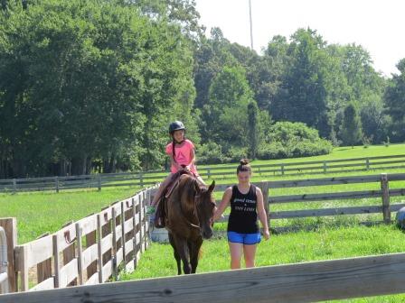 Horse Riding